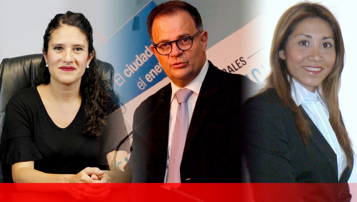 Está integrada por Bertha María Alcalde, Anaid Elena Valero y Ulrich Richter.