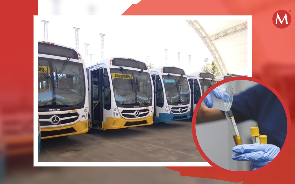 Las pruebas se realizan en las bases de autobuses de las empresas concesionarias. | ESPECIAL