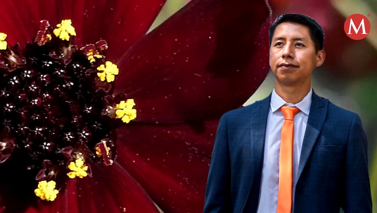 El rescate del Cosmos chocolate no solo es un logro académico, sino un aporte invaluable al patrimonio natural de México. (Cortesía)