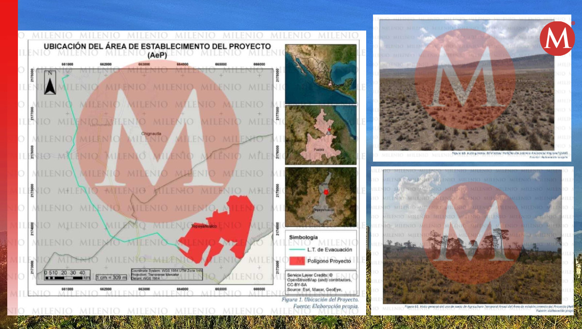 Perfilan parque solar de 63 MW en Sierra Nororiental de Puebla | Especial