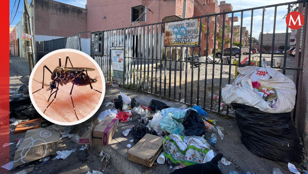 Atribuyen alza en dengue problema de recolección de basura en Jalisco (Fotos: Karla Victoria Rodríguez y Archivo)