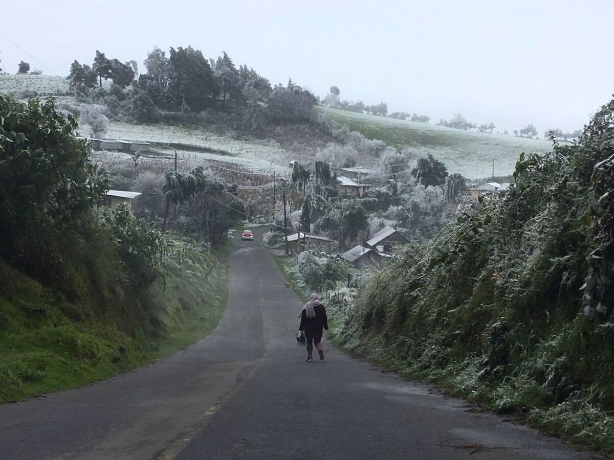 Las heladas negras ocurren cuando no hay humedad en el ambiente. | Cuartoscuro y SMN