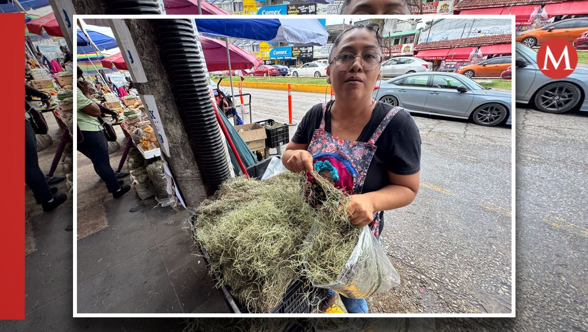 Venta de heno en Ciudad Madero. (Mario Juárez)