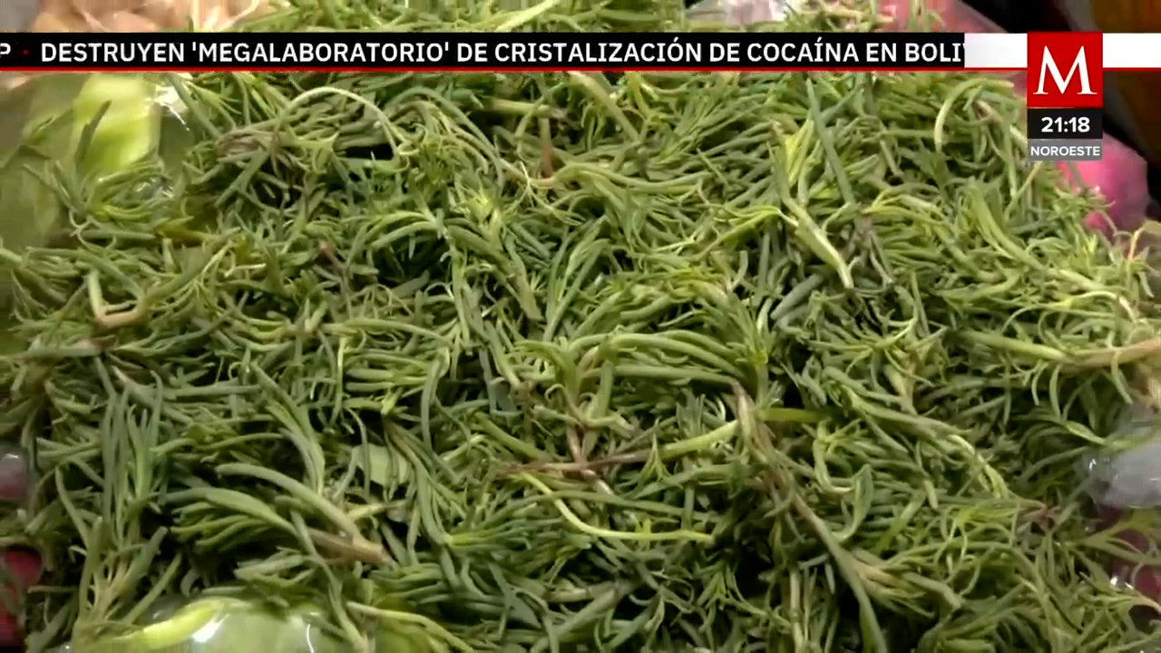 Romeritos, la tradición culinaria de México para la Navidad y Año Nuevo