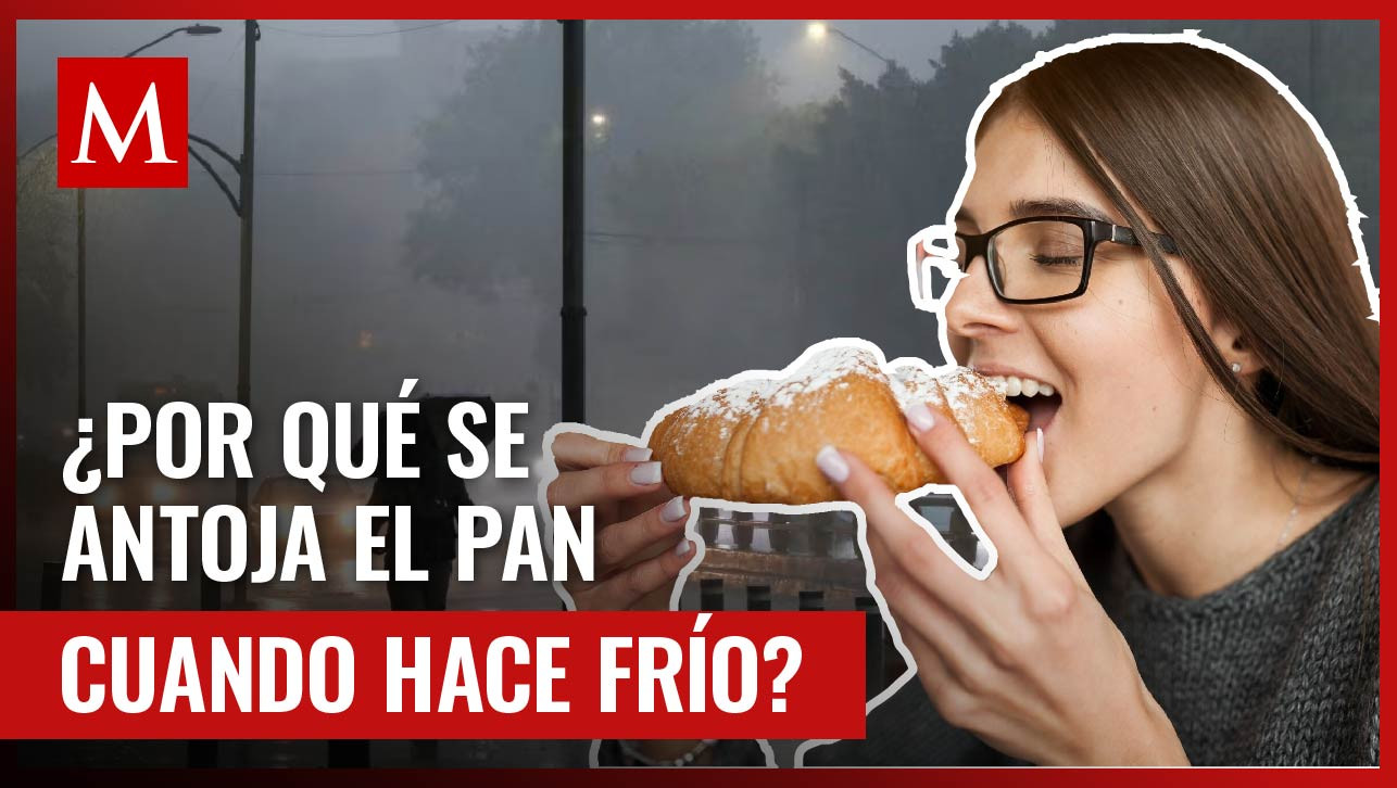 ¿Se te antoja mucho el pan cuando hace frío? Aquí te contamos por qué sucede
