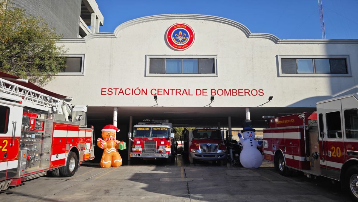 Indicaron que alrededor de 20 a 25 por ciento de los mencionados incendios tuvieron su origen en el uso de la pirotecnia. Francisco Zúñiga