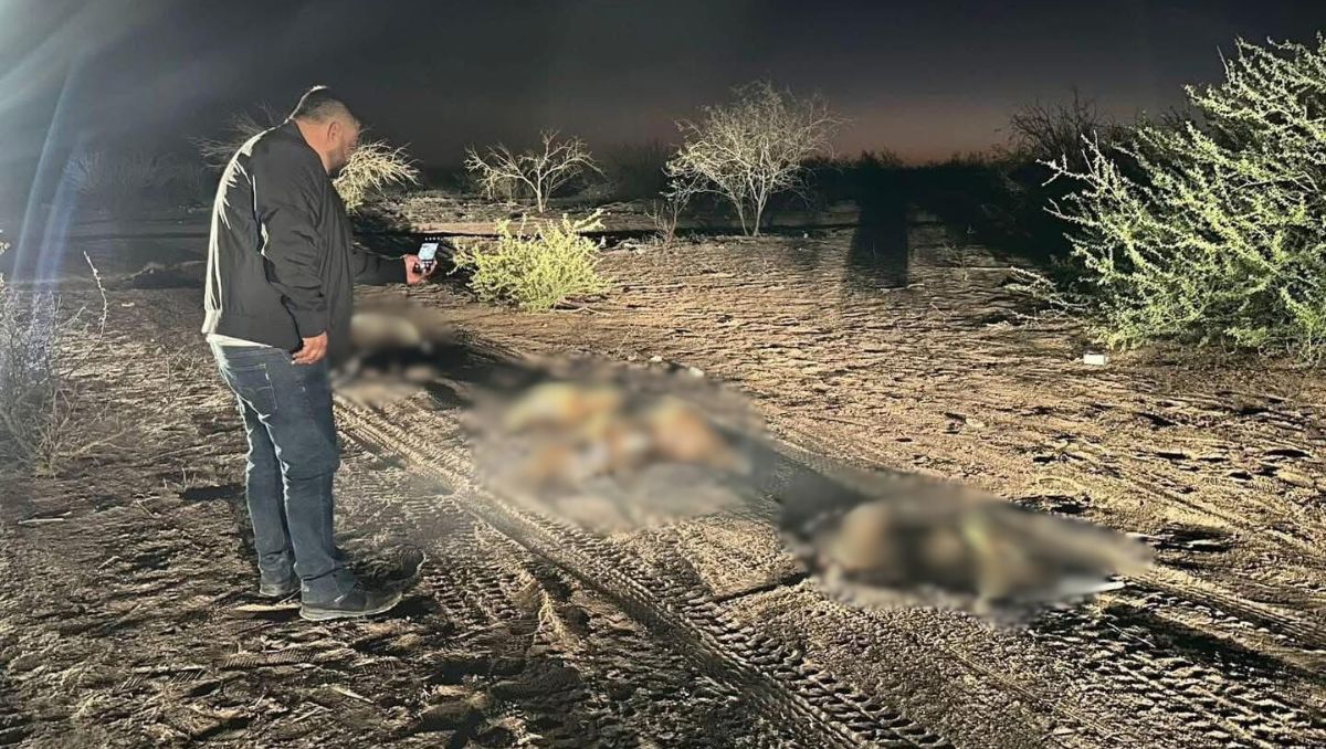 Un perito inició el procesamiento del lugar realizando fijación fotográfica. | Especial