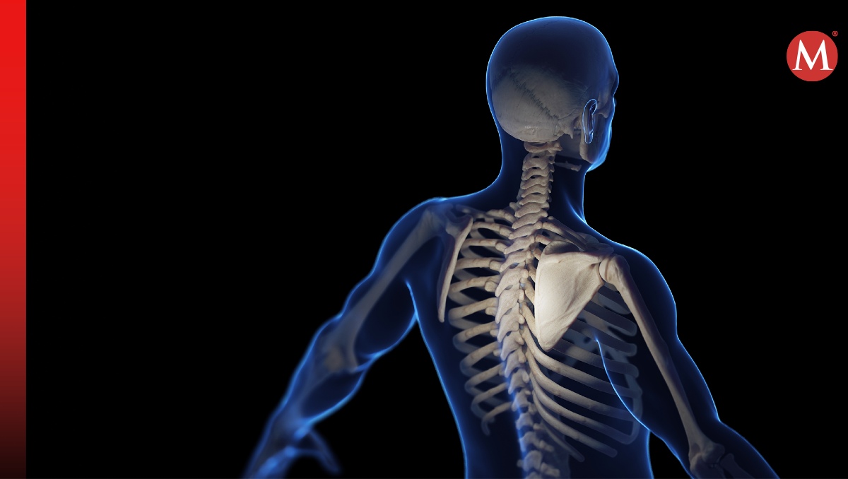 Implantes biomiméticos  | Shutterstock