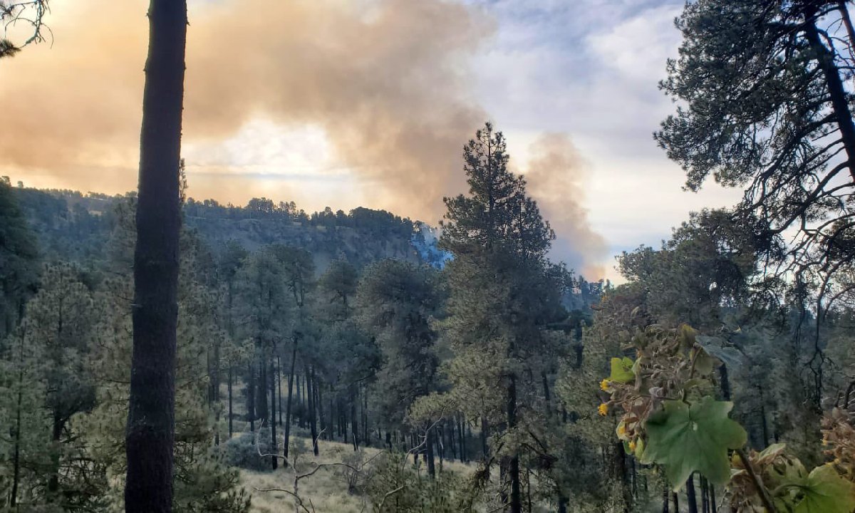 Registran incendio en el Parque Iztaccíhuatl-Popocatépetl hoy 28 de diciembre de 2024. Foto: (Especial)