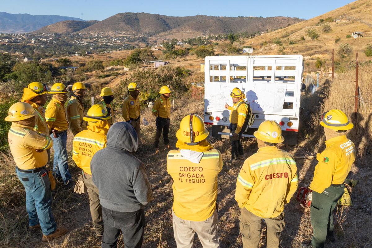 Combaten incendios forestales en Oaxaca.