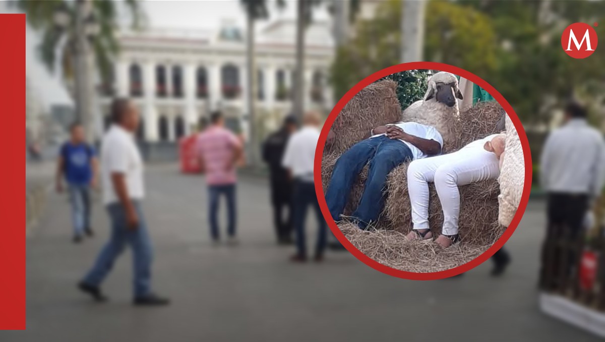 Dos hombres quedaron dormidos sobre pesebre. (Especial)