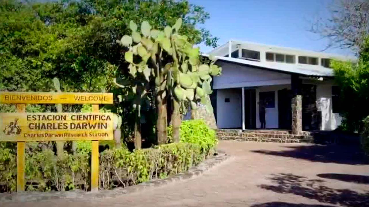 La mayor colección de historia natural se encuentra en las Islas Galápagos | Milenio Hábitat