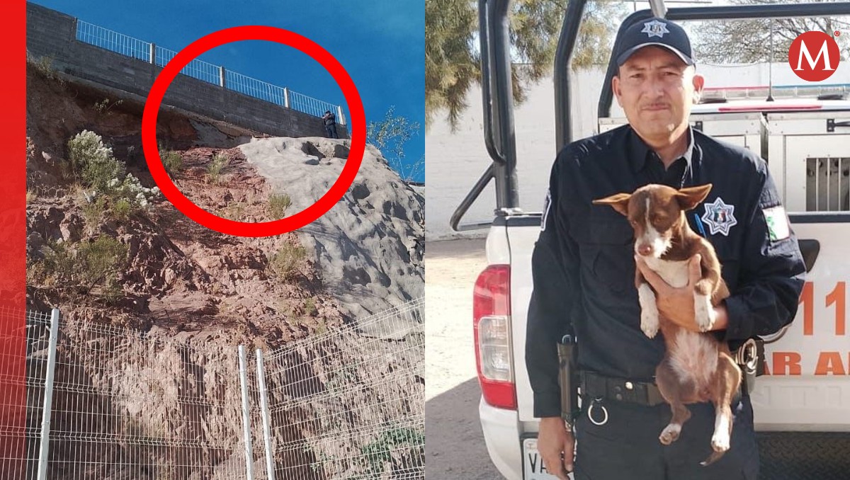 El perrito fue rescatado por personal de Policía Preventiva y Tránsito Municipal en Sonora. | Especial