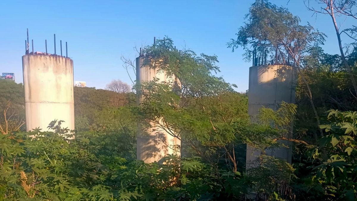 Las estructuras de concreto están cubiertas entre la maleza y los árboles en el lecho del río Santa Catarina. Eduardo Mendieta