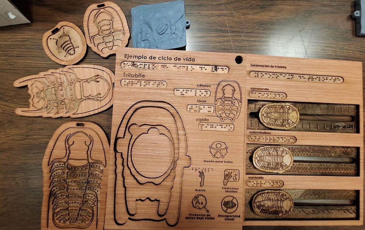 UNAM crea exposición 3D amigable al tacto sobre fósiles nacionales- Grupo Milenio