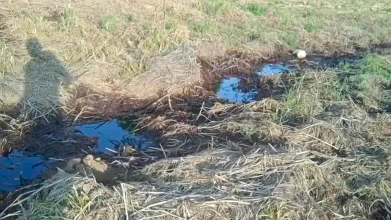 Autoridades aseguran toma clandestina tras fuga de hidrocarburo en Veracruz