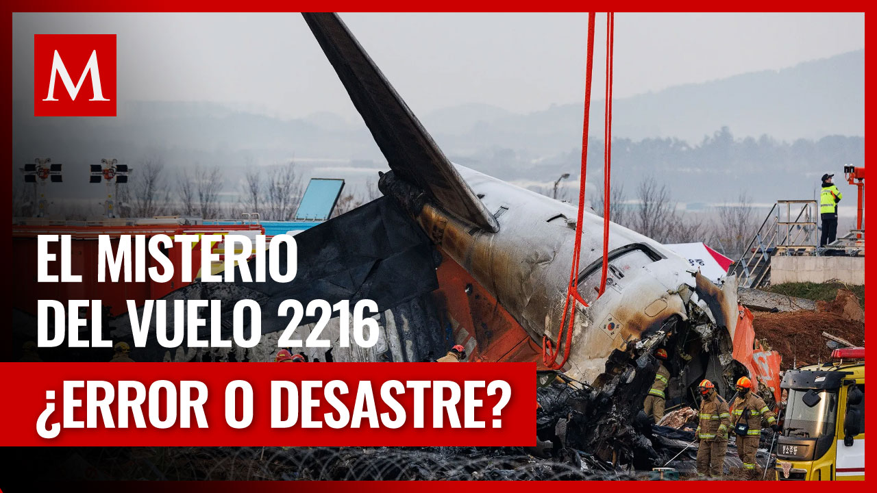 El Misterio del vuelo 2216: ¿Choque con pájaros o falla mecánica?