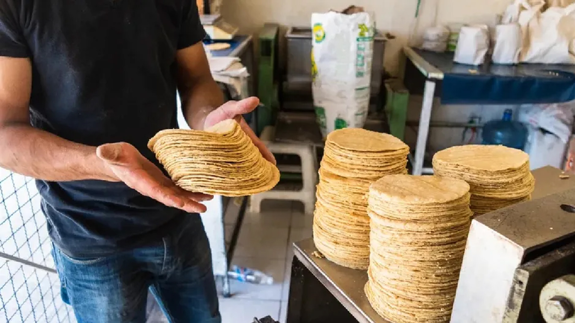 Estabilizar el precio de tortilla podría costar 18 mil mdp anuales: CNT