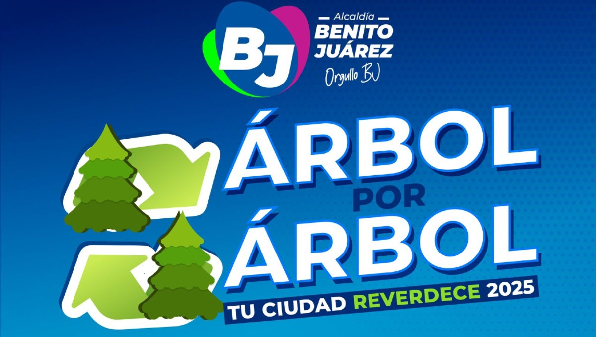 Los árboles recolectados se convertirán en composta orgánica para las áreas verdes locales. | Especial