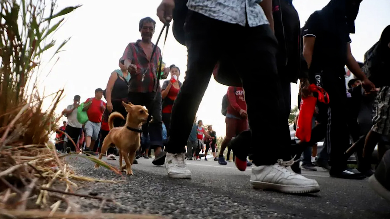 Por extorsión e inseguridad, casi imposible que migrantes lleguen a la frontera norte: Activista