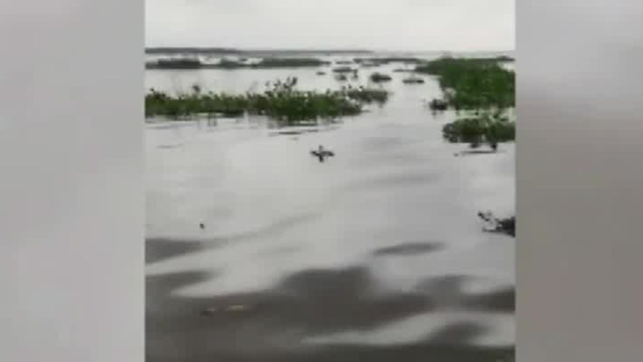 Pescadores del Río Coatzacoalcos, Veracruz, reportan derrame de hidrocarburo