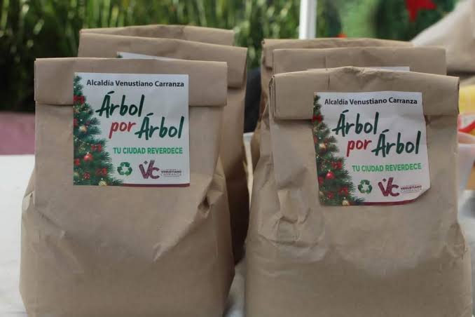 A los capitalinos que participen se les dará planta ornamental o una bolsa de composta. | Especial