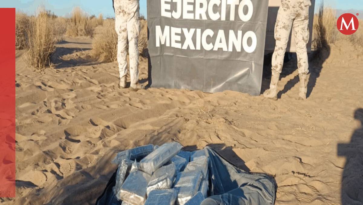 El cargamento de cocaína tiene un valor en el marcado de más de 9 millones de pesos (Defensa)