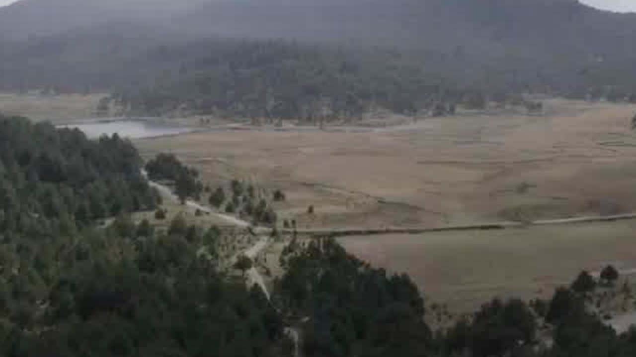 CdMx, Edomex y Morelos ayudan a blindar el Bosque de Agua contra tala clandestina | Milenio Hábitat