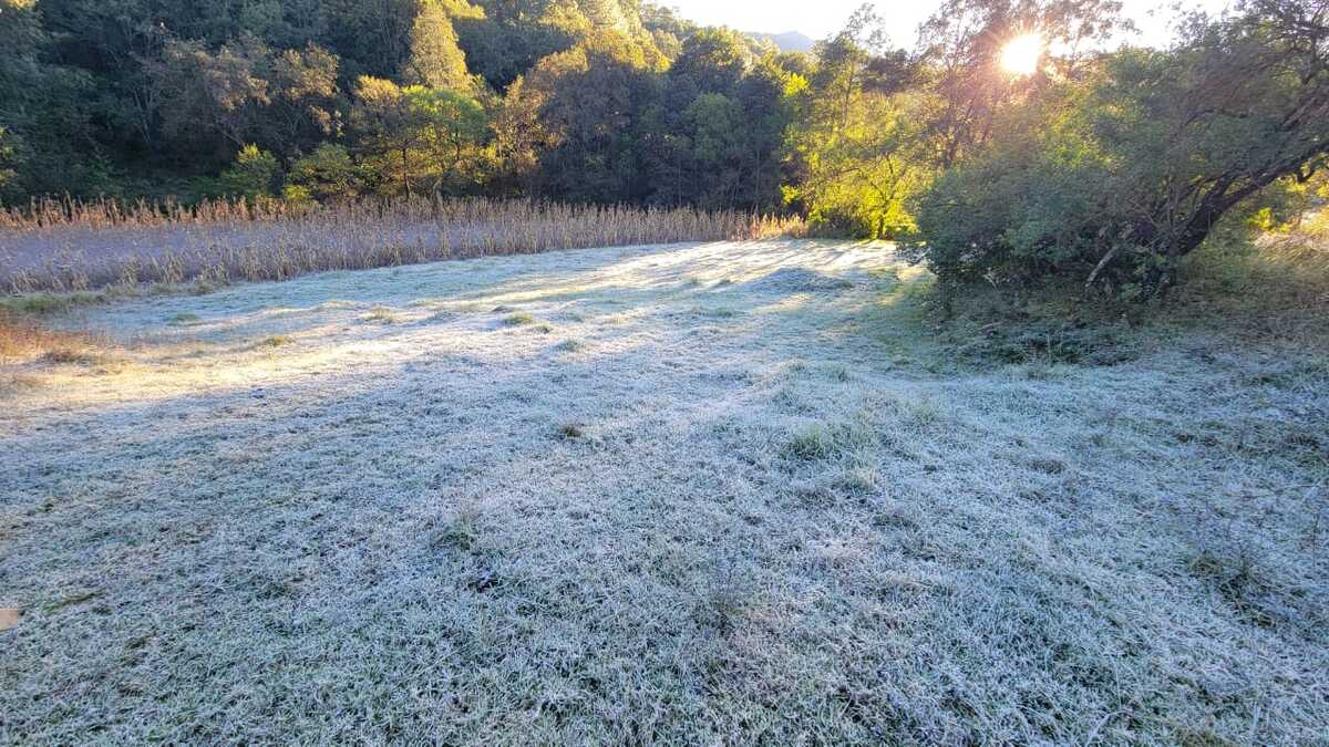 Emiten alerta por onda gélida que afectará más de 100 municipios en Oaxaca | Especial