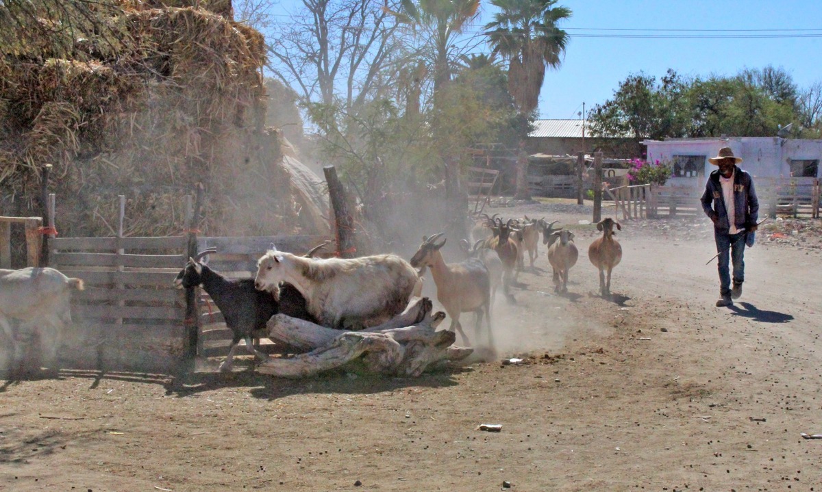 Crisis en el RAN afecta a ejidatarios de La Laguna de Durango. | Roberto Amaya