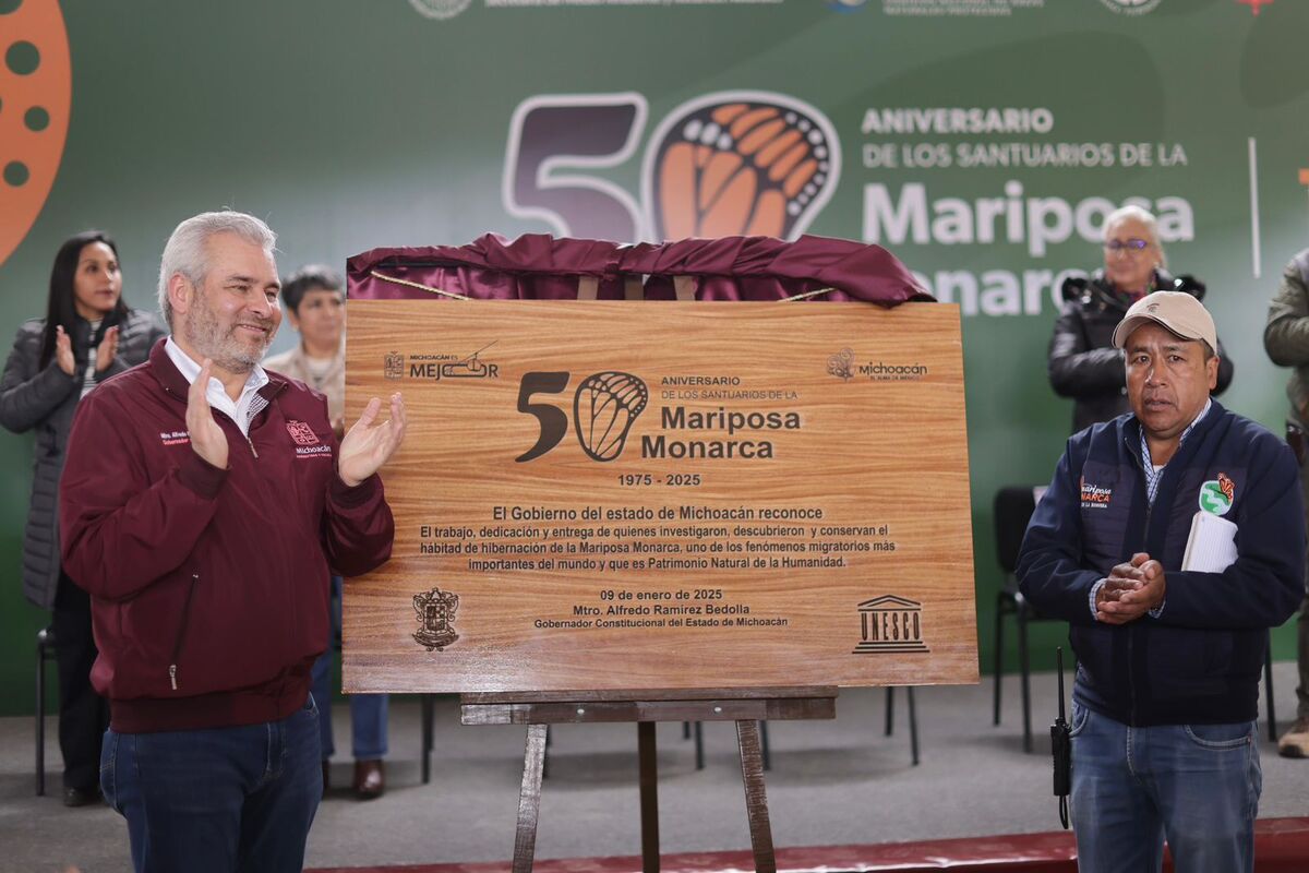 El gobernador, Alfredo Ramírez Bedolla, celebra cincuenta años del descubrimiento de los santuarios de Mariposa Monarca en Michoacán.