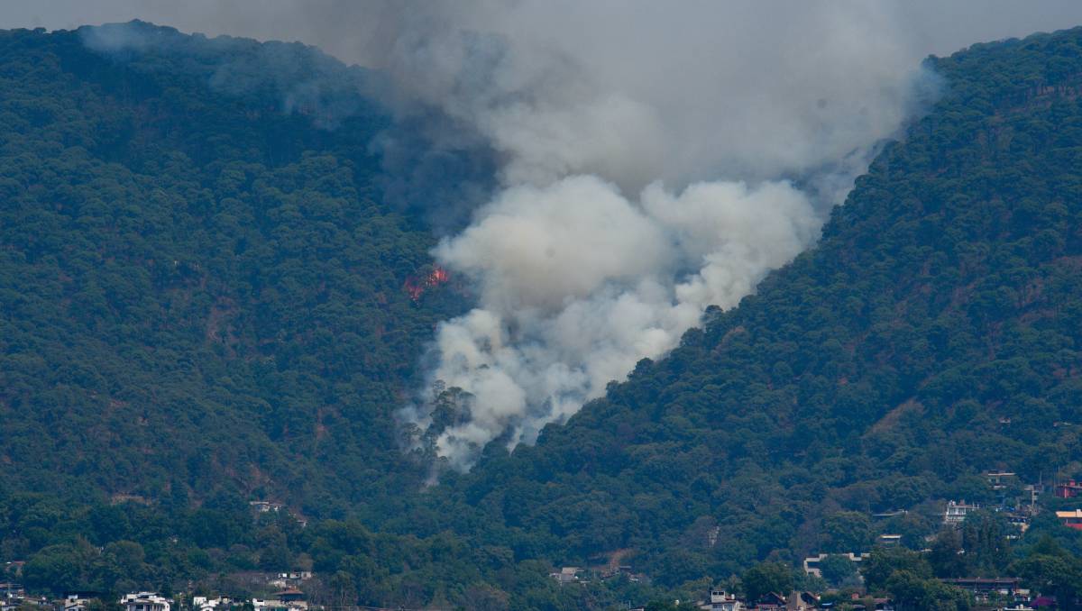 Mantendrán vigilancia permanente para identificar a la brevedad los incendios forestales. Foto: (Cuartoscuro)