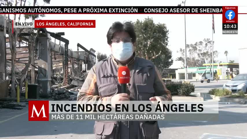 Así quedó Pacific Palisades tras los incendios en Los Ángeles, California
