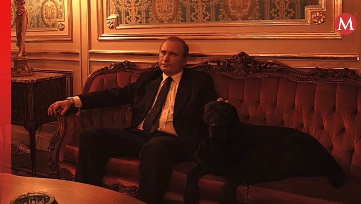 Estrenarán película de Vladímir Putin creada con IA | Especial