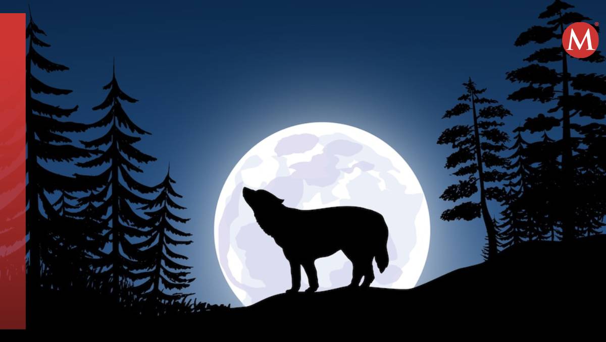 La Luna de Lobo es especial debido a su cercanía con otros movimientos astronómicos | Freepik