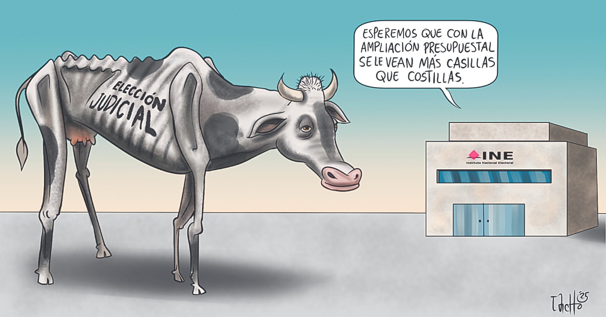 TACHO/Vaca flaca