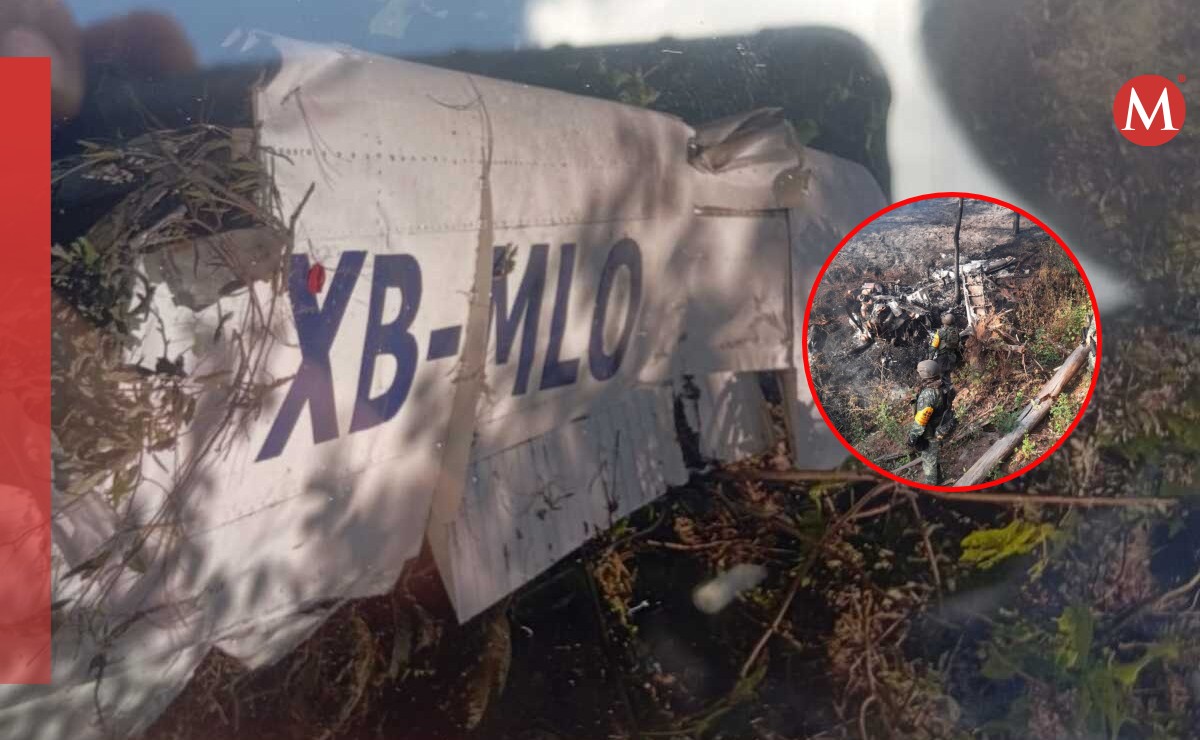 Concluyen la entrega de los siete cuerpos de las personas fallecidas tras accidente en Quitupan, Jalisco (Cortesía | Diseño: Milenio)