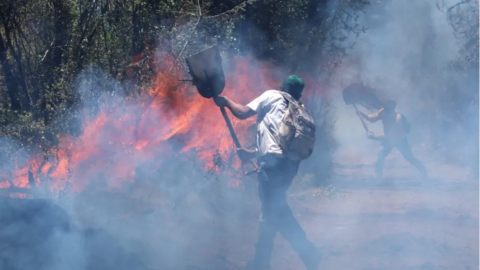 México rompe récord de incendios forestales en 2024; cambio climático enciende alarmas