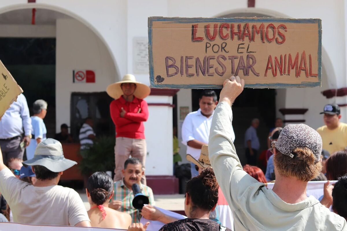 Pobladores de la Costa de Oaxaca se manifiestan contra el maltrato animal.