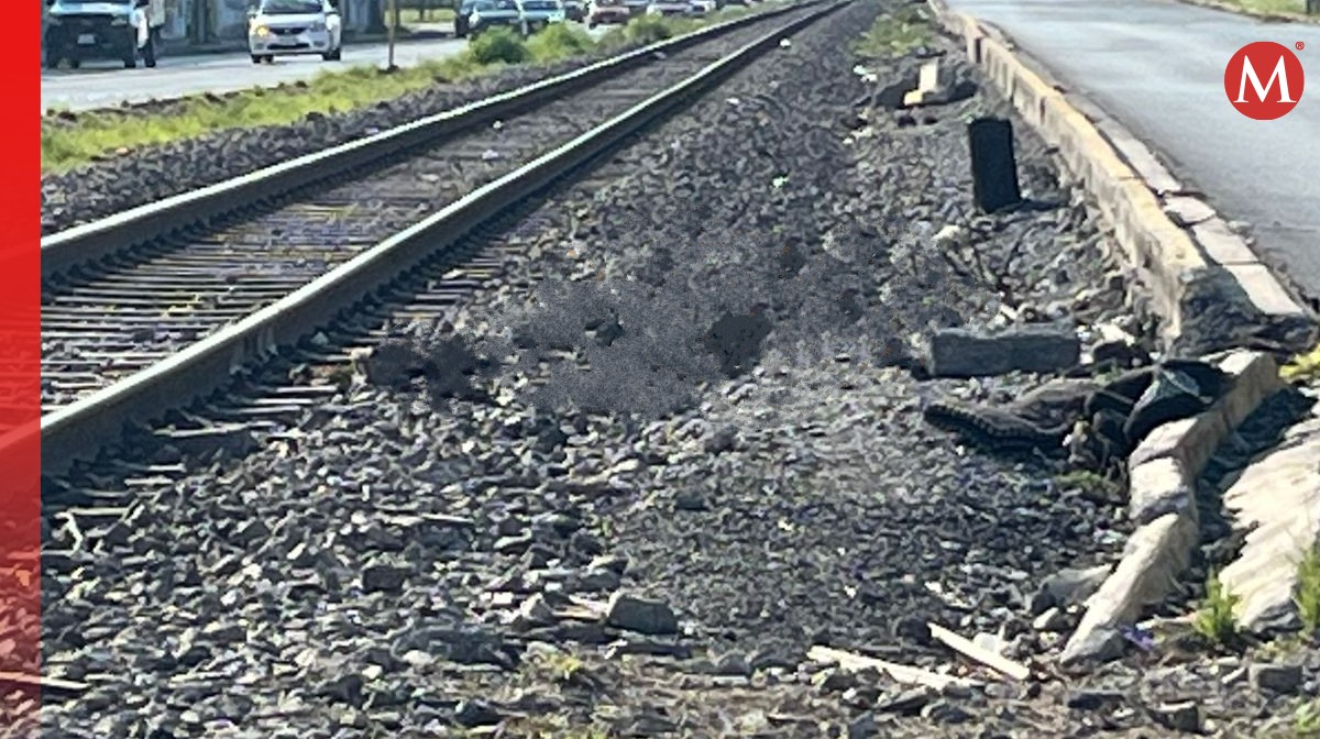 Tren choca contra caballo en Guadalupe. Foto: Especial