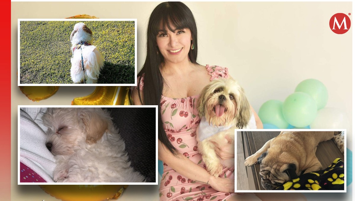 Araceli Pérez, emprendedora con "Airbnb dog". | Especial