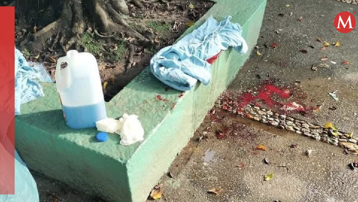 Los paramédicos ayudaron a la joven durante su parto, y luego la trasladaron a un centro médico. | Especial