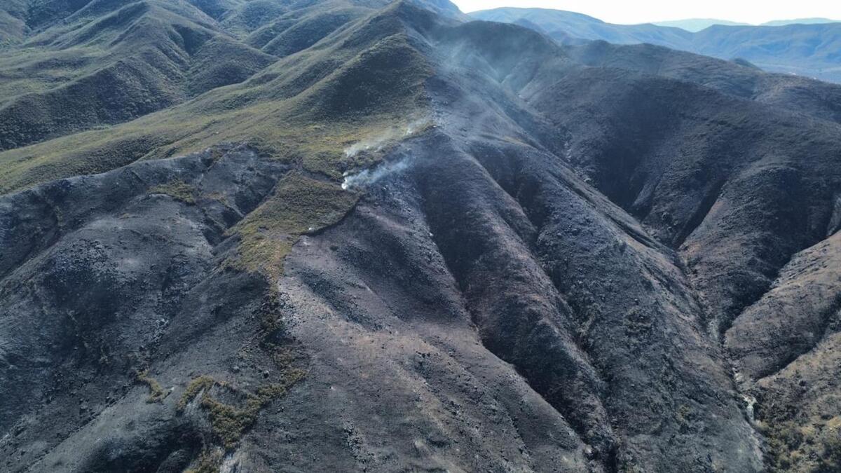 Tres incendios forestales están activos en Baja California. | Especial