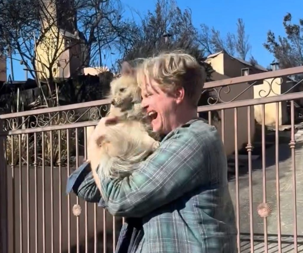 Perro y su amo se reencuentran tras incendios en California. | Especial