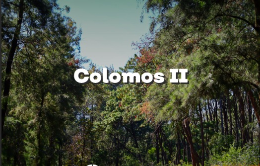 Bosque Los Colomos. (Cortesía)