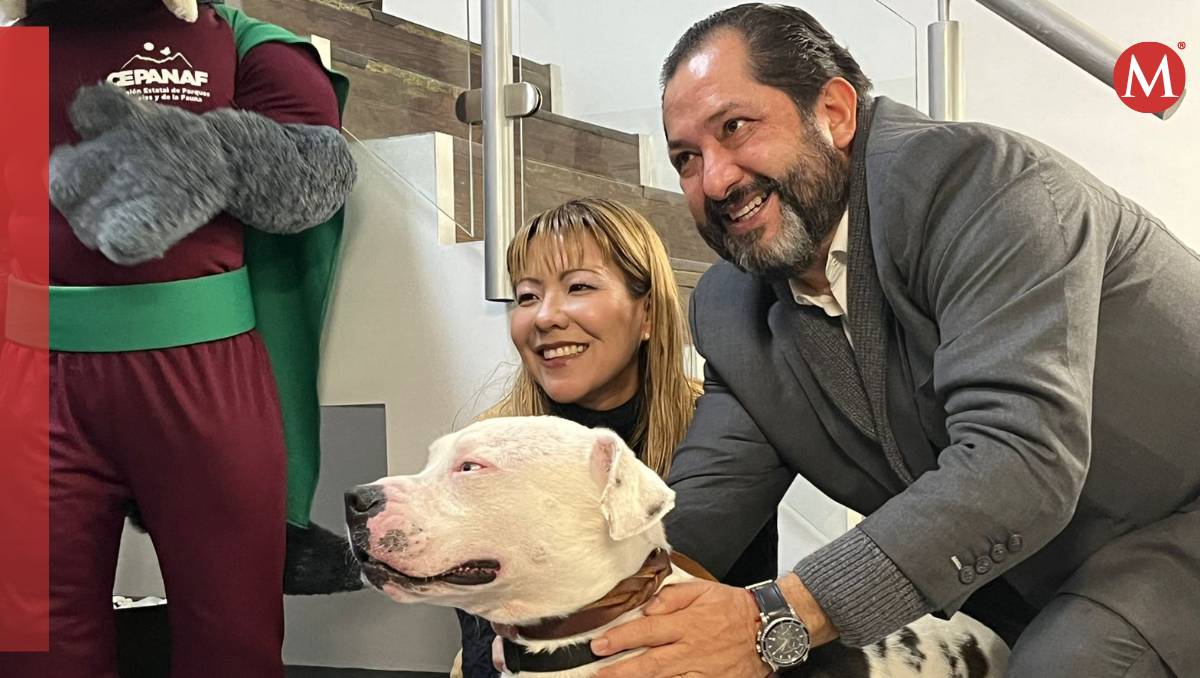 La CEPANAF tiene 63 lomitos en espera de ser adoptados. | Foto: Bernardo Jasso