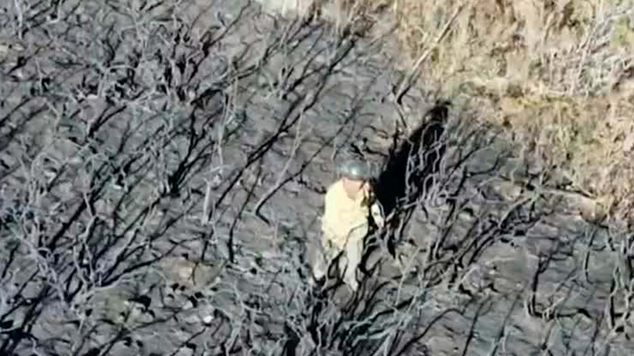 México rompe récord de incendios forestales registrados en 2024 | Milenio Hábitat