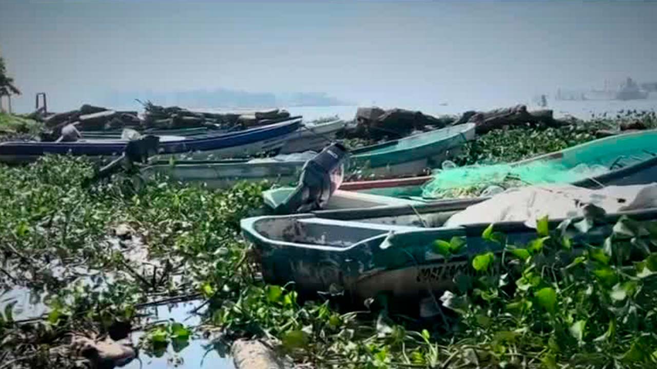 En Veracruz, habitantes denuncian ecocidio en el Río Coatzacoalcos | Milenio Hábitat
