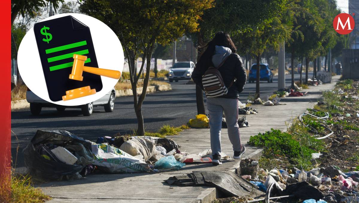 Por algunos delitos ambientales se otorgan multas de hasta 3 mil UMAS. Foto: (Especial)