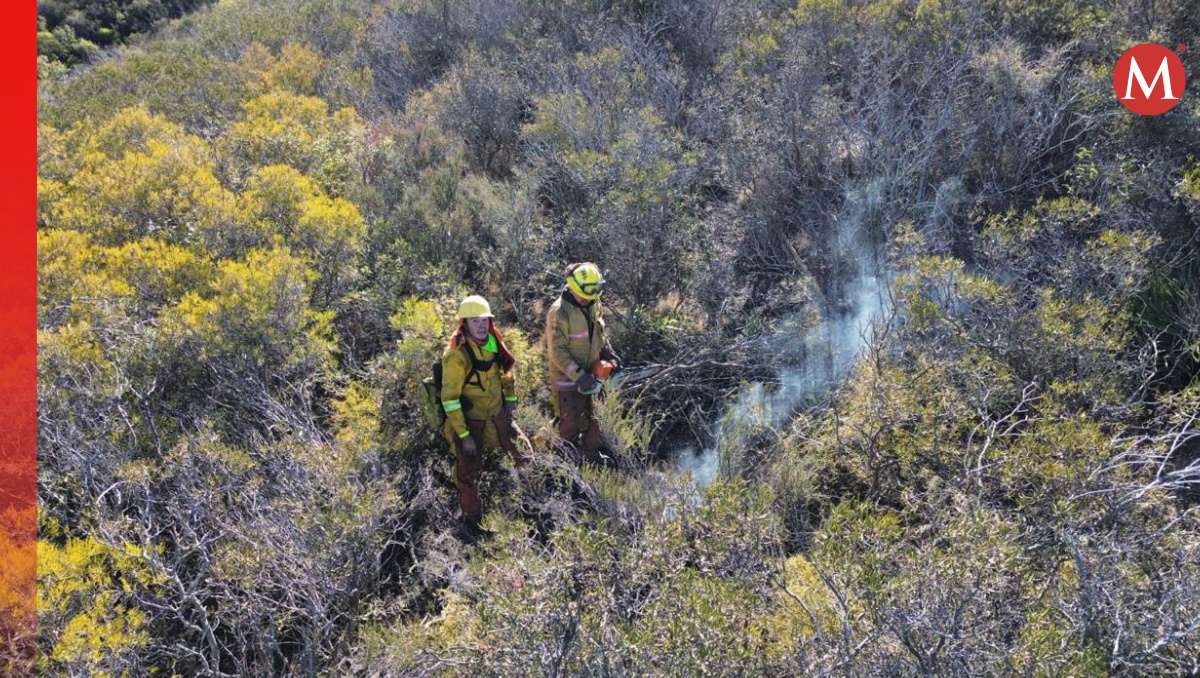 Especialistas se han sumado al manejo del fuego en Ensenada. Foto: Conafor